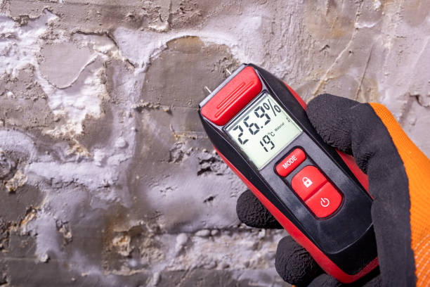 Best Mold Removal and Inspection  in Surrey, ND