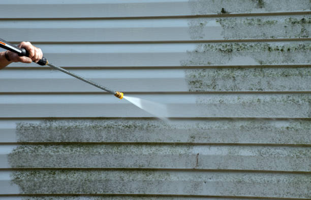 Best Residential Mold Removal  in Surrey, ND