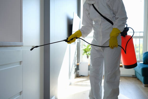 Best Commercial Mold Removal  in Surrey, ND