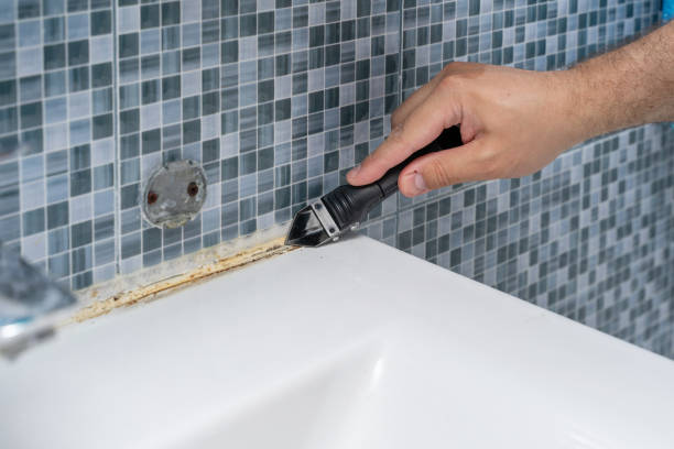Best Mold Removal Near Me  in Surrey, ND