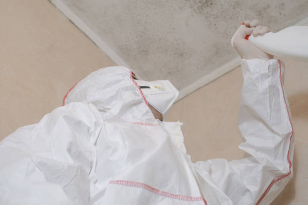 Best Mold Cleaning Services  in Surrey, ND